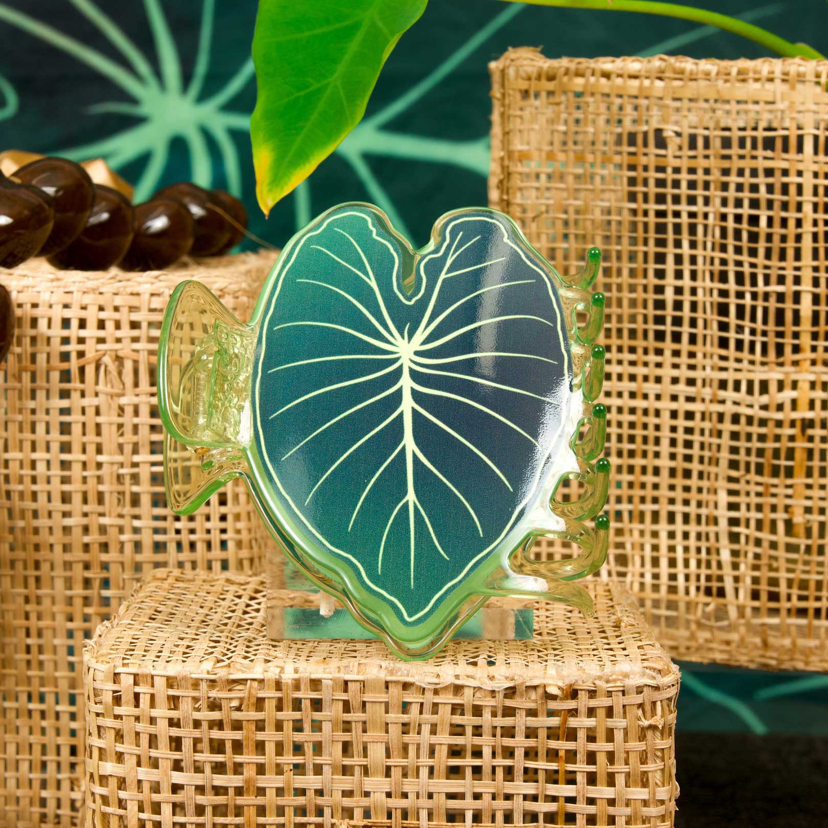 Tag Aloha Co. - ハワイでデザインされた持続可能で意識的なビーチウェア