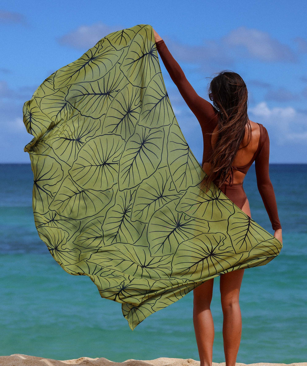 Lo’i Kalo Pareo